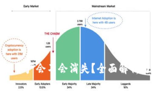 TP钱包里的资产会不会消失？全面解析与用户指南