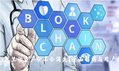 TP钱包里的资产会不会消失？全面解析与用户指南