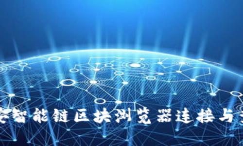 如何使用币安智能链区块浏览器连接与查看交易信息