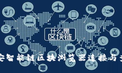 如何使用币安智能链区块浏览器连接与查看交易信息