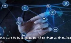 如何从Bybit钱包导出私钥：
