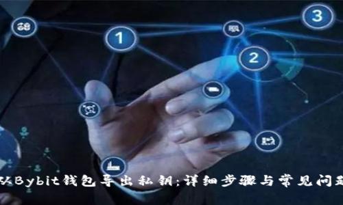 如何从Bybit钱包导出私钥：详细步骤与常见问题解析
