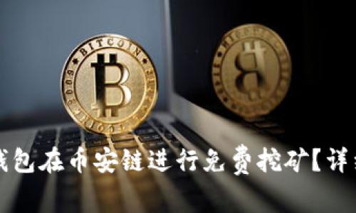 如何通过TP钱包在币安链进行免费挖矿？详细指南与技巧