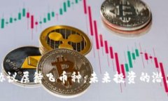 区块链协议层待飞币种：