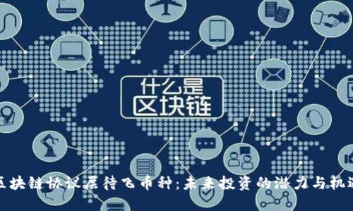区块链协议层待飞币种：未来投资的潜力与机遇
