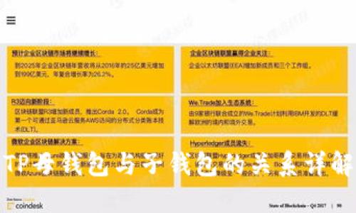 TP母钱包与子钱包的关系详解