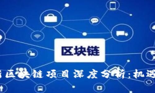 2023年最新区块链项目深度分析：机遇与挑战并存