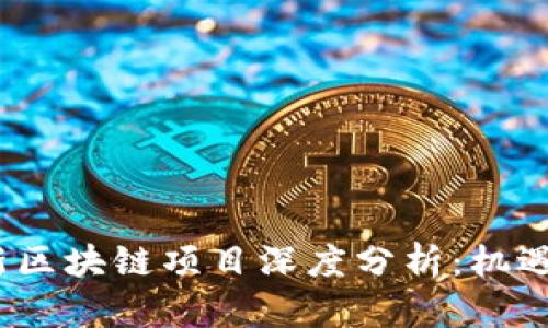 2023年最新区块链项目深度分析：机遇与挑战并存