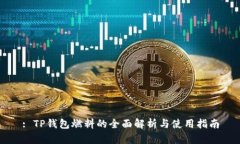 : TP钱包燃料的全面解析与使用指南