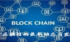 2023年CPC区块链的最新动态与发展前景分析