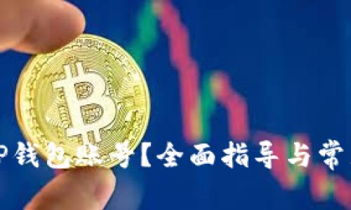 如何找回TP钱包账号？全面指导与常见问题解答