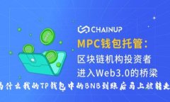 为什么我的TP钱包中的BN