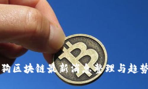 比特狗区块链最新消息整理与趋势分析