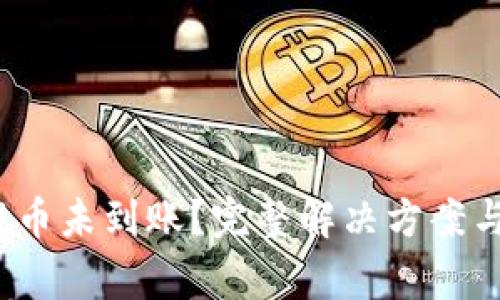 : 在T P钱包提币未到账？完整解决方案与常见疑问解答