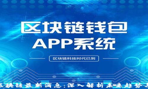 
天舰区块链最新消息：深入解析未来趋势与机遇