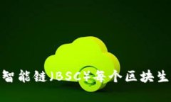 深入解析：币安智能链（