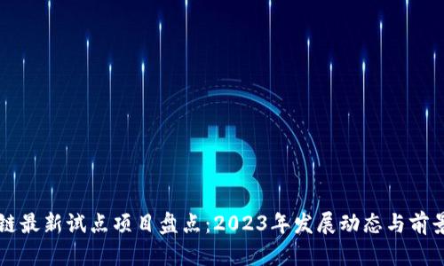 区块链最新试点项目盘点：2023年发展动态与前景分析
