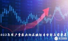 2023年用户量最大的区块链