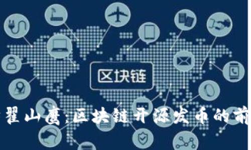 深度采访翟山鹰：区块链开源发币的前景与挑战