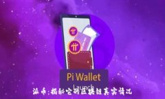   派币：揭秘它的区块链真