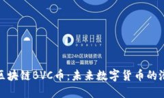 深入探讨区块链BVC币：未