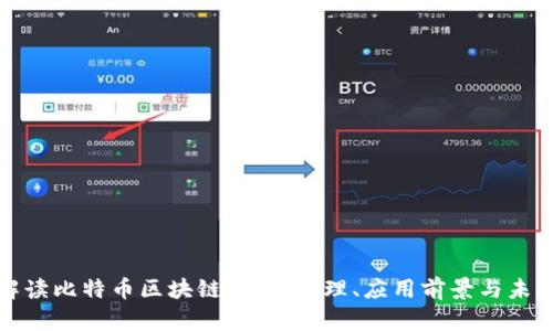彻底解读比特币区块链：技术原理、应用前景与未来挑战