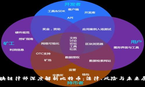区块链律师深度解析比特币：法律、风险与未来展望