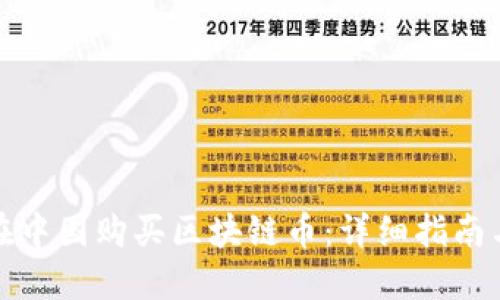 如何在中国购买区块链币：详细指南与策略