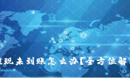 : TP钱包提现未到账怎么办？全方位解决方案解析