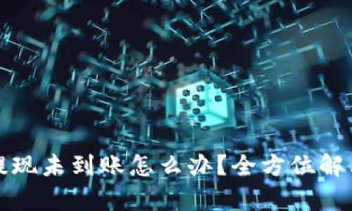: TP钱包提现未到账怎么办？全方位解决方案解析