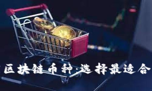 深入了解不同区块链币种：选择最适合你的投资组合