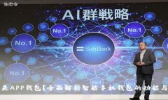 什么是APP钱包？全面解析