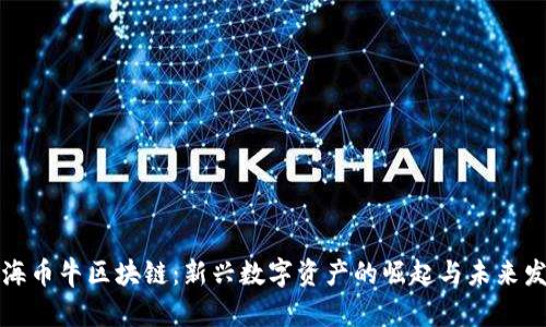 上海币牛区块链：新兴数字资产的崛起与未来发展