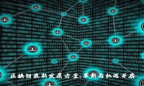 区块链最新发展方案：革新与机遇并存