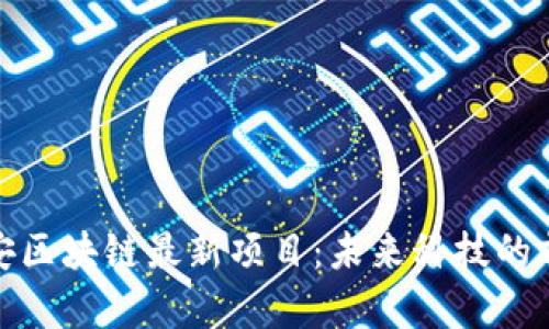 探索西安区块链最新项目：未来科技的前沿之路