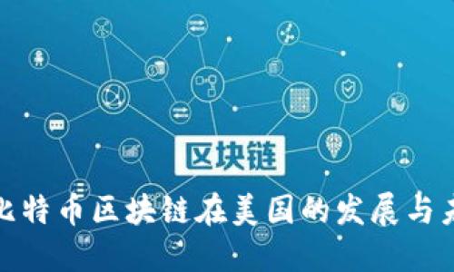 : 比特币区块链在美国的发展与未来