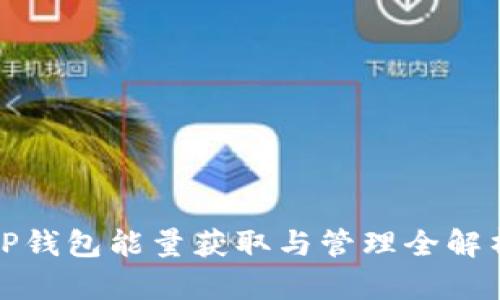 TP钱包能量获取与管理全解析