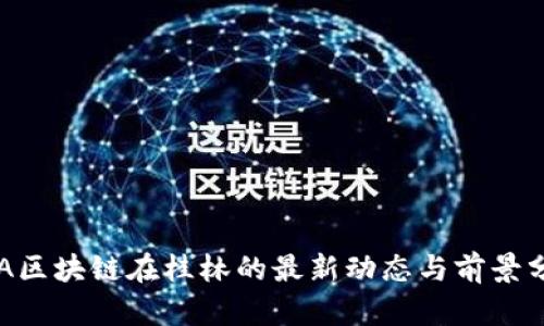 SLA区块链在桂林的最新动态与前景分析