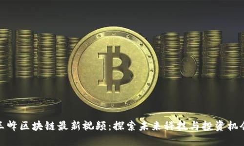 王峰区块链最新视频：探索未来科技与投资机会