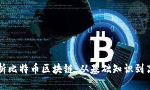 优质

全面解析比特币区块链：从基础知识到高级应用