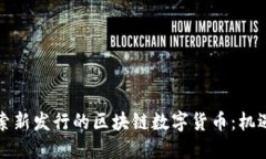 深入探索新发行的区块链