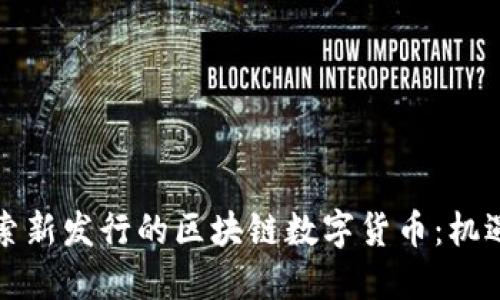 深入探索新发行的区块链数字货币：机遇与挑战