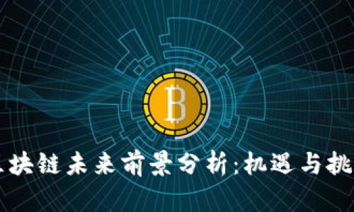 币市区块链未来前景分析：机遇与挑战并存