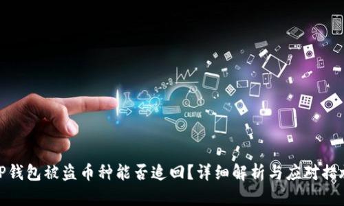 TP钱包被盗币种能否追回？详细解析与应对措施