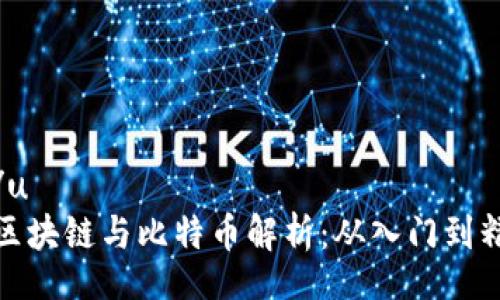 u:/u 
的区块链与比特币解析：从入门到精通