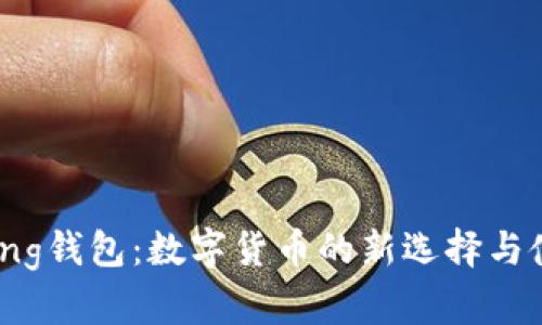 探索Bying钱包：数字货币的新选择与使用指南