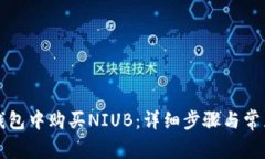 如何在TP钱包中购买NIUB：