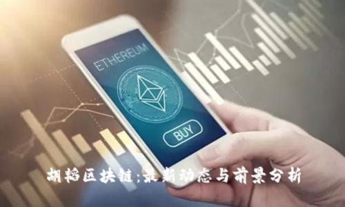 胡韬区块链：最新动态与前景分析