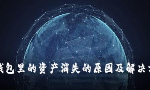 TP钱包里的资产消失的原因及解决方案