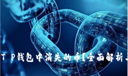  如何找回T P钱包中消失的币？全面解析与解决方案